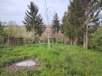 Vasvár Telek