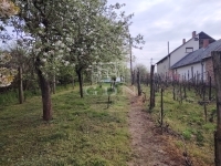 Vasvár Telek