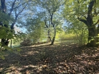 Zalaegerszeg Telek