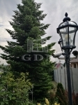 Gödöllő Családi ház