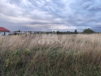 Berhida Telek