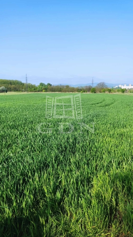 For sale Miskolc Agricultural area