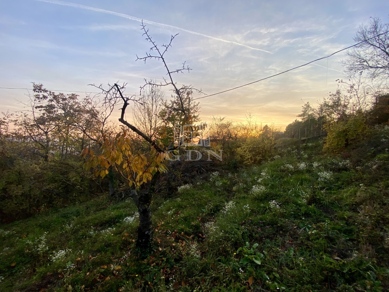 Eladó Budaörs Telek